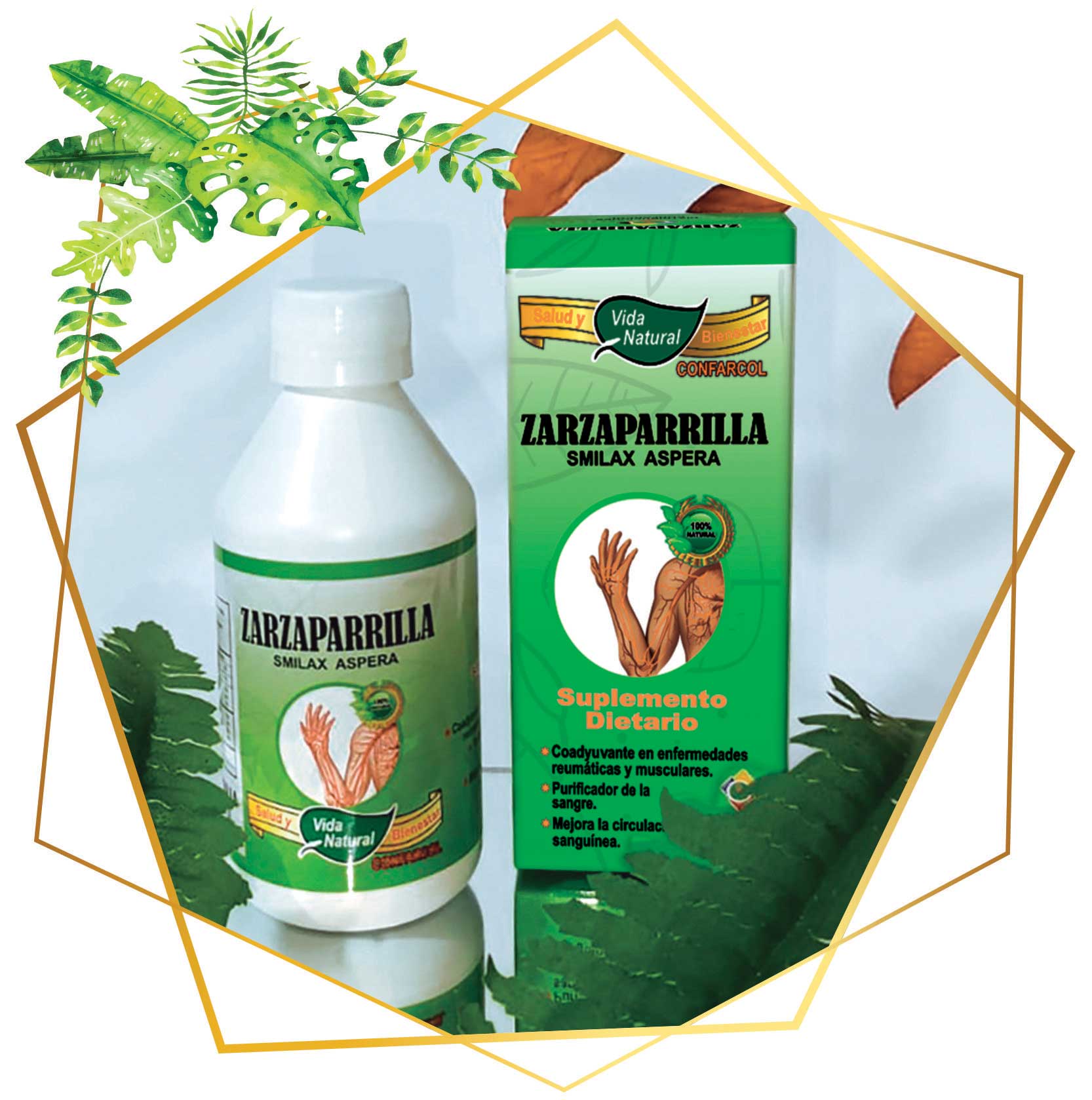 - ZARZAPARRILLA SUPLMENTO DIARIO x 240 ML