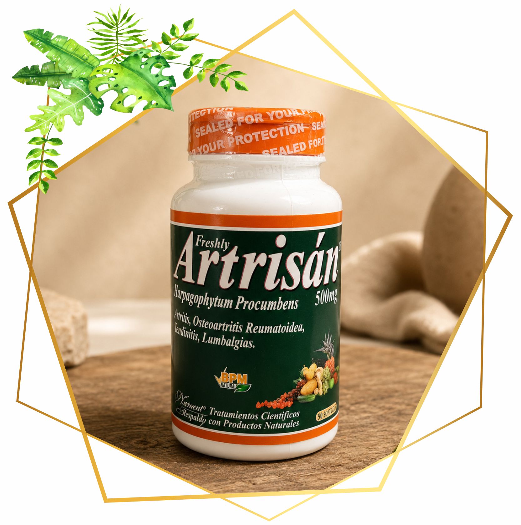 ARTRISAN 500 MG X 50 CAPS
