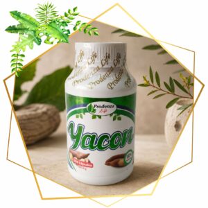 YACON 500 MG X 100 CAPS
